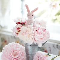 Pink Rabbit with a Watering Can