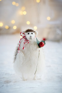 Hedgehog with Red Berry